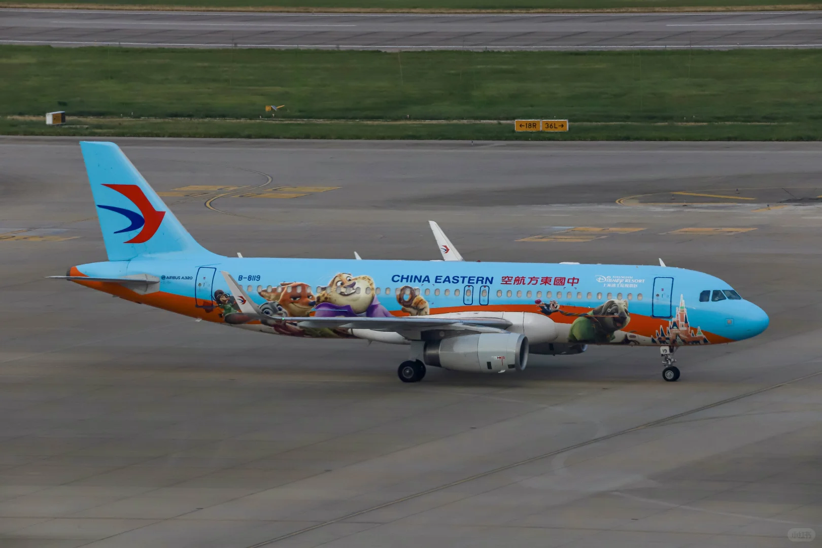 国庆回顾——东航迪士尼彩绘史诗级同框!