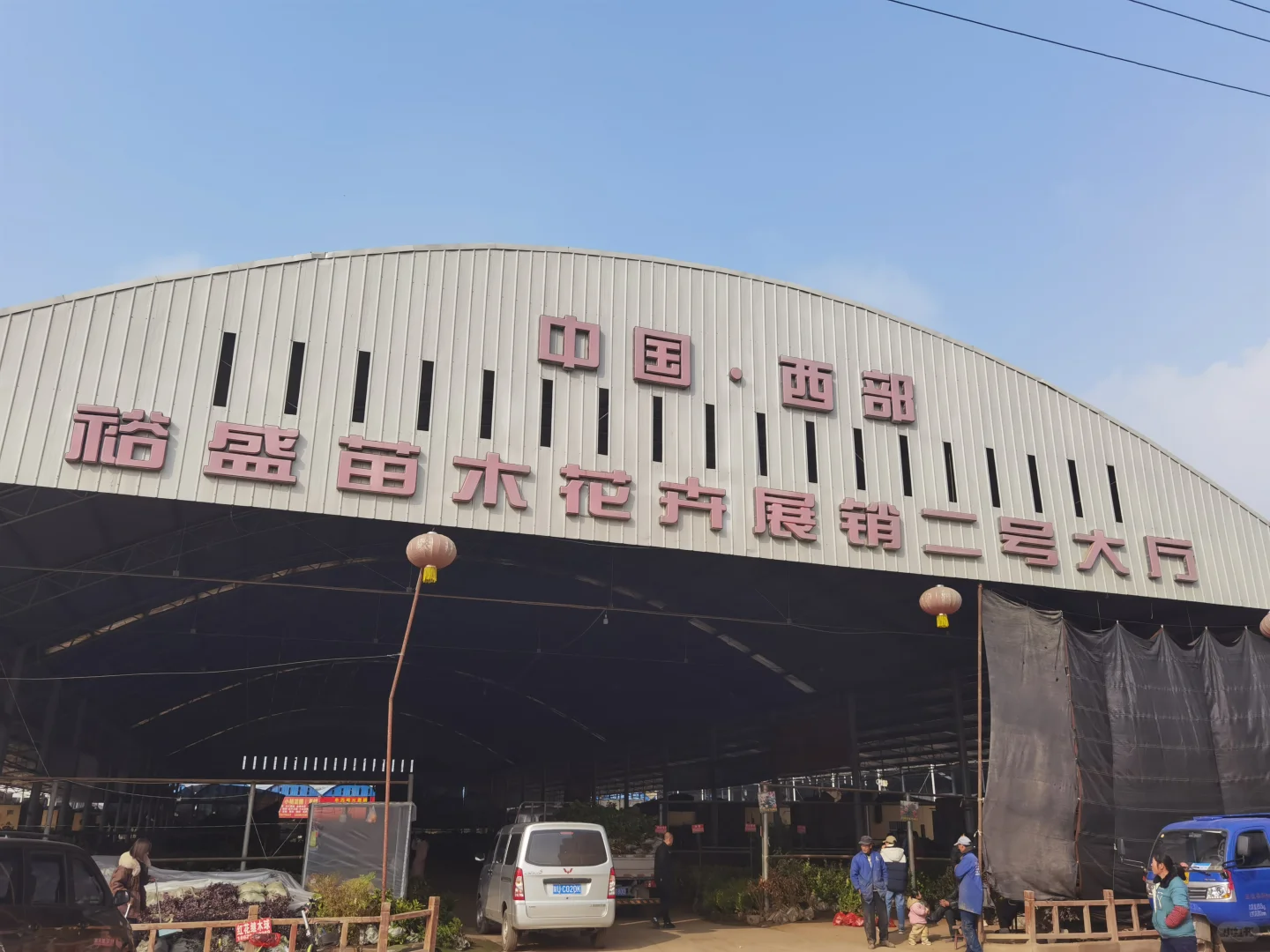 西部最大的苗木采购基地—裕盛苗木市场