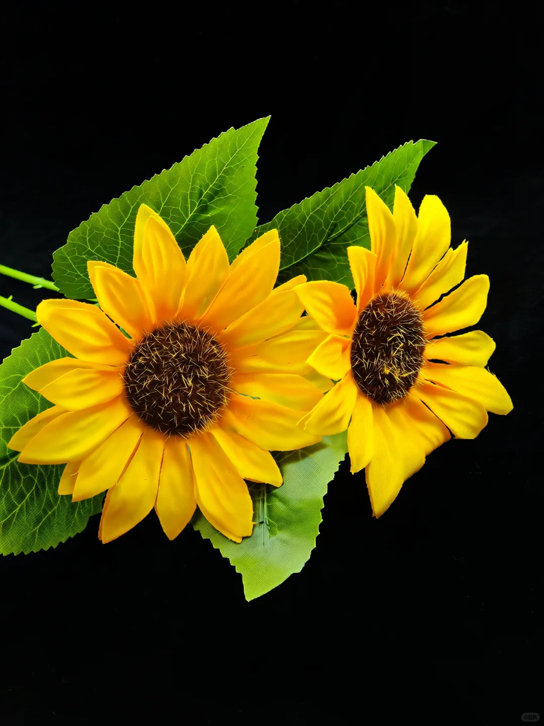 plog11 月份，换上新的风格