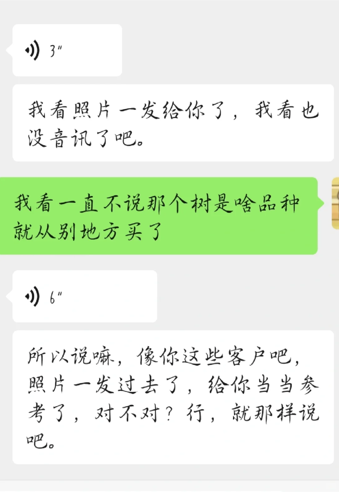 买个柿子树不说品种还怪我事多