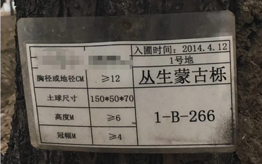 必存|号苗那些事儿