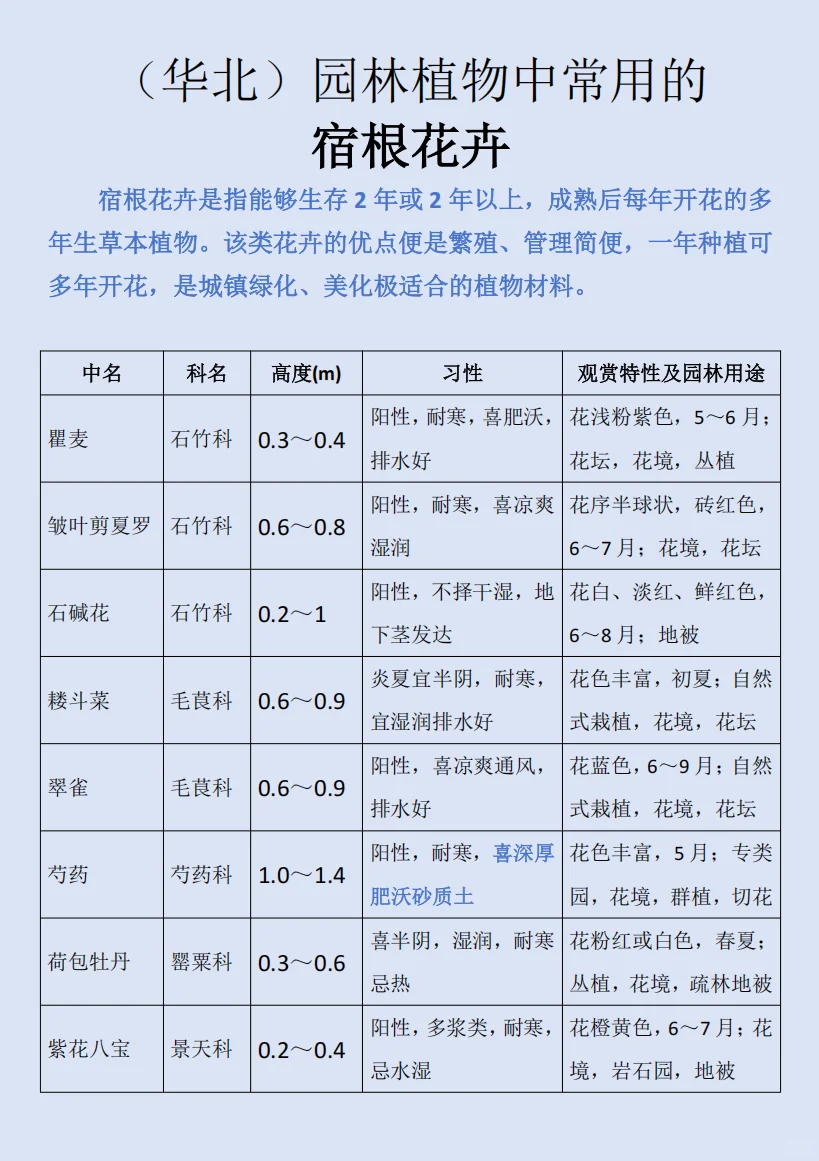 华北｜园林植物常用的宿根花卉?