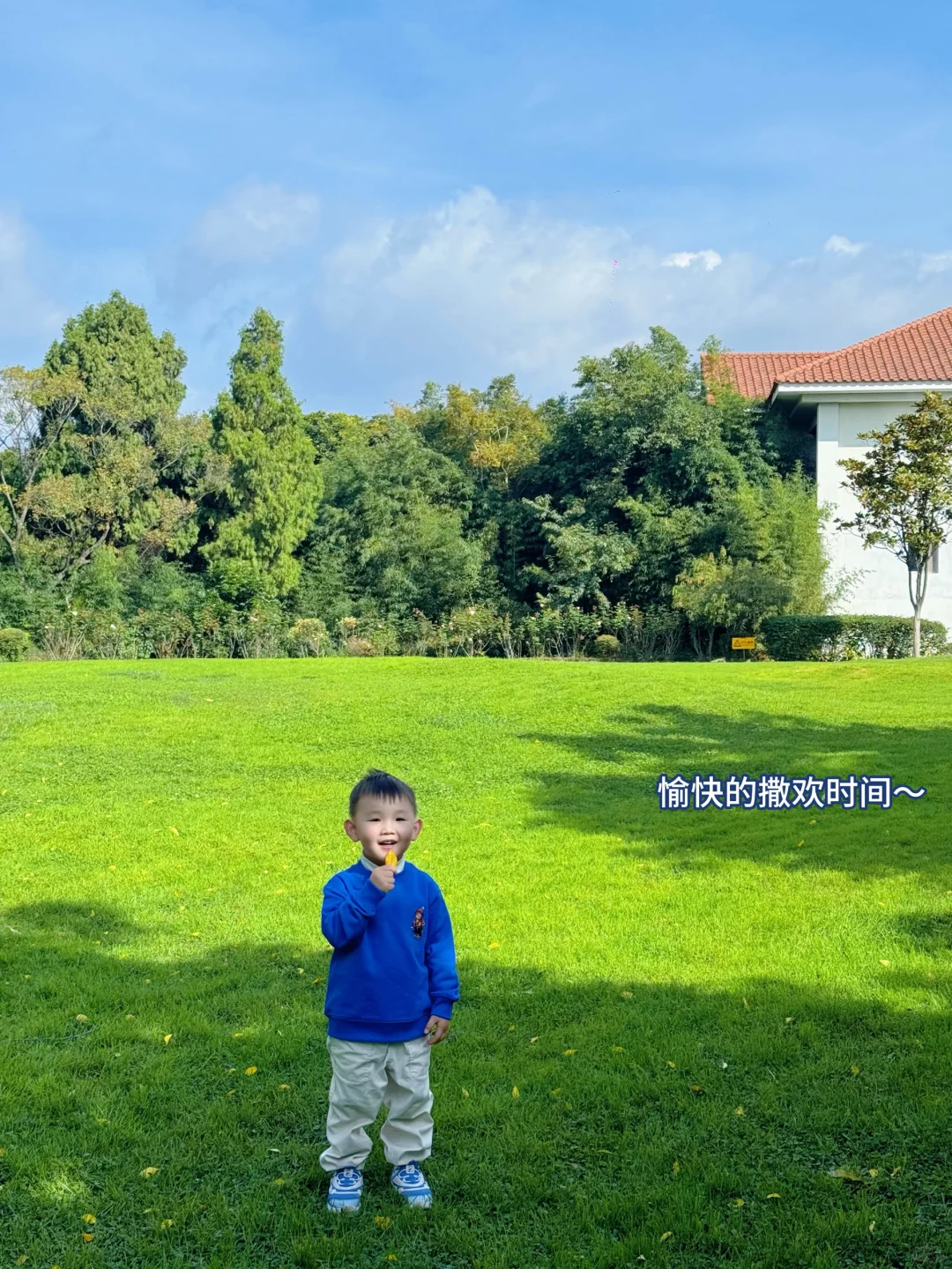 养成元气肉宝的秘诀：选对“肚肚神队友！