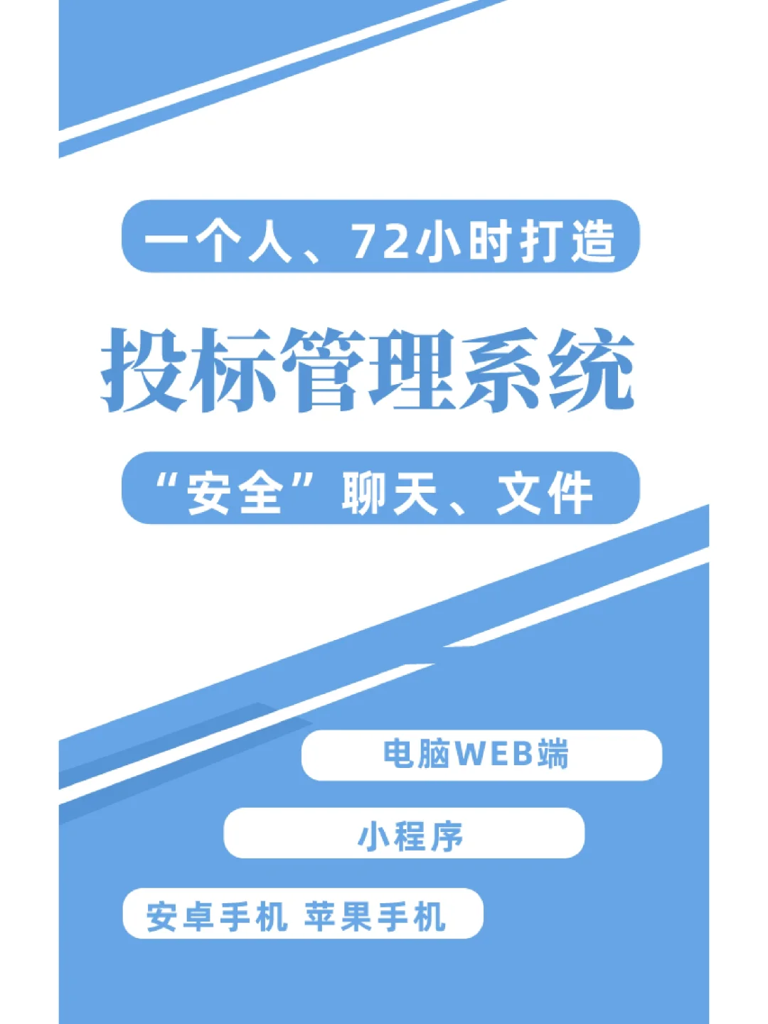 一个人，72小时打造，投标管理系统