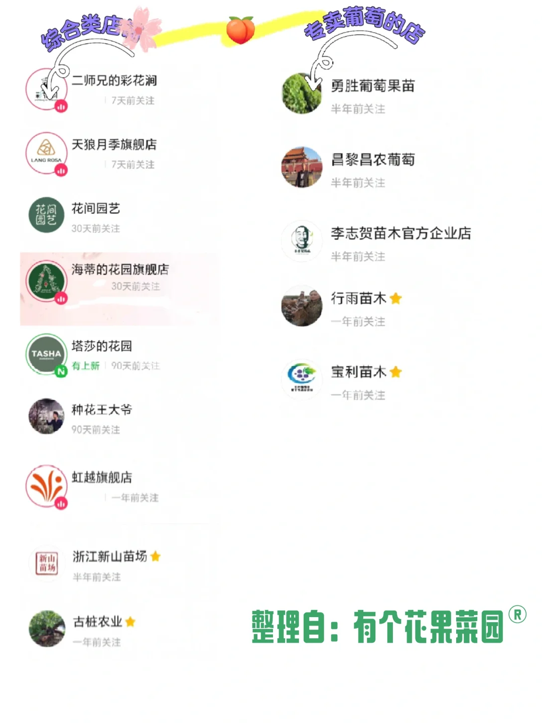 葡萄苗靠谱店铺大全(2块一棵,快冲)