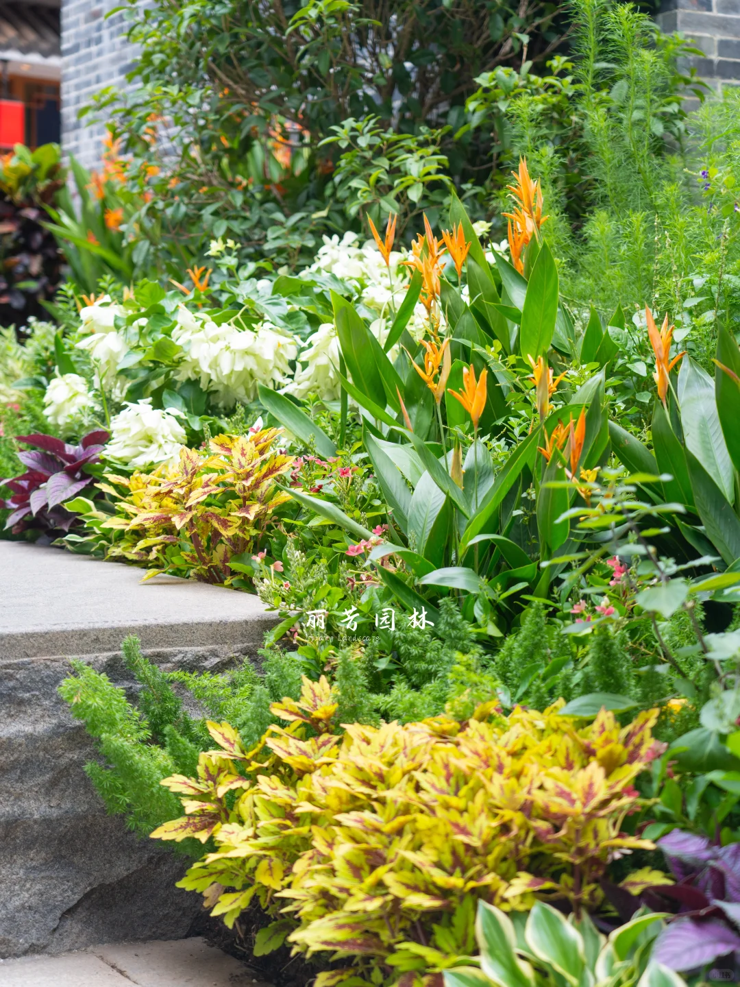 如何拥有层次丰富且易维护的长效花境景观?