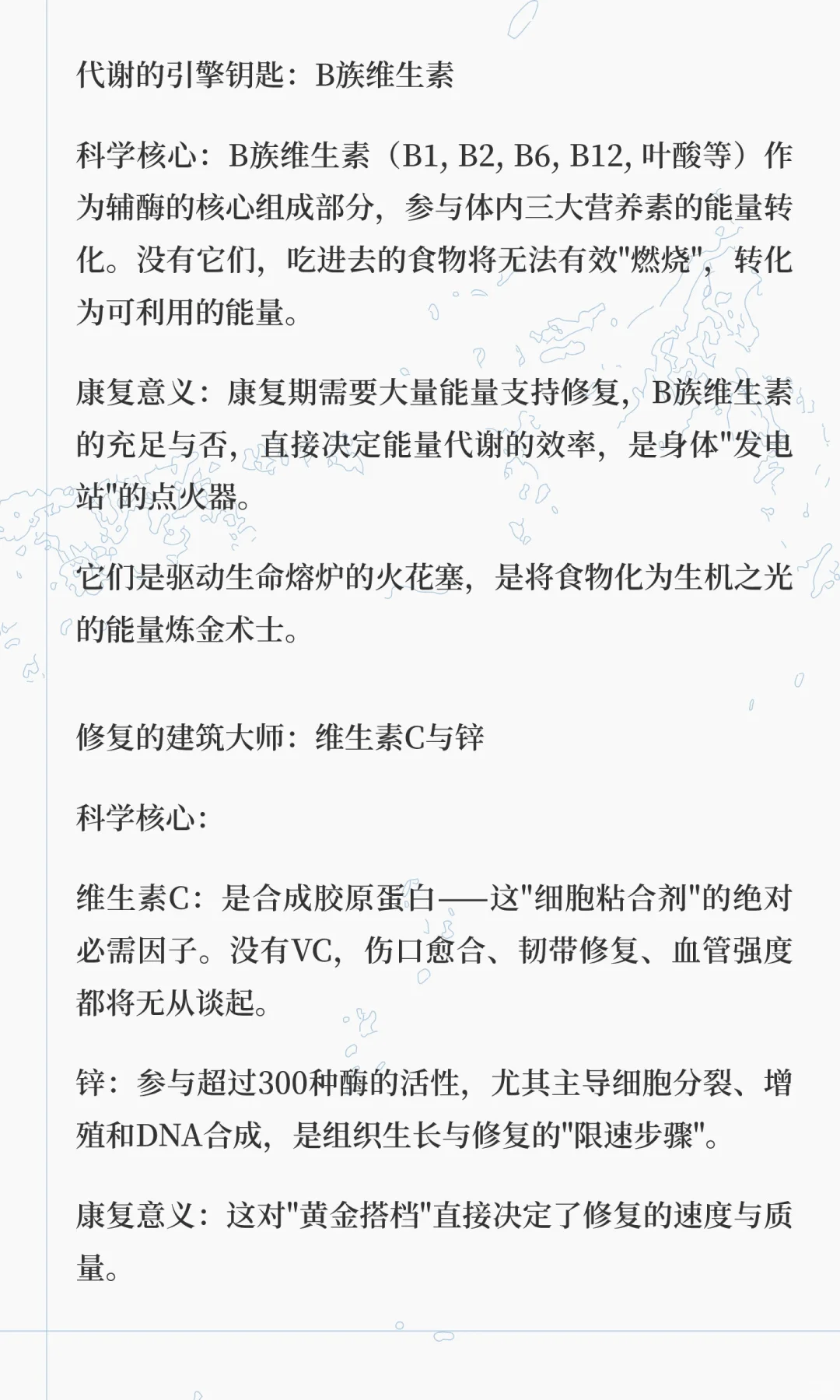 隐形的王国 | 维生素与矿物质～执掌生命