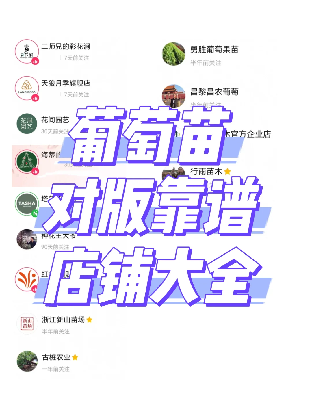 葡萄苗靠谱店铺大全(2块一棵,快冲)