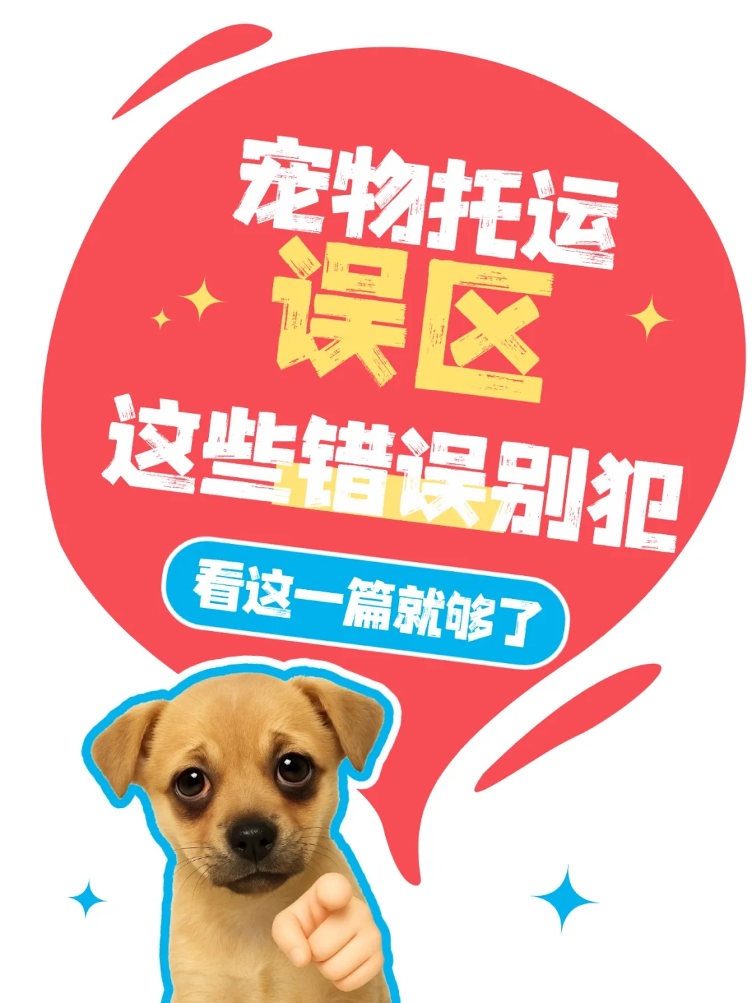 宠物托运这些错误千万别犯❌