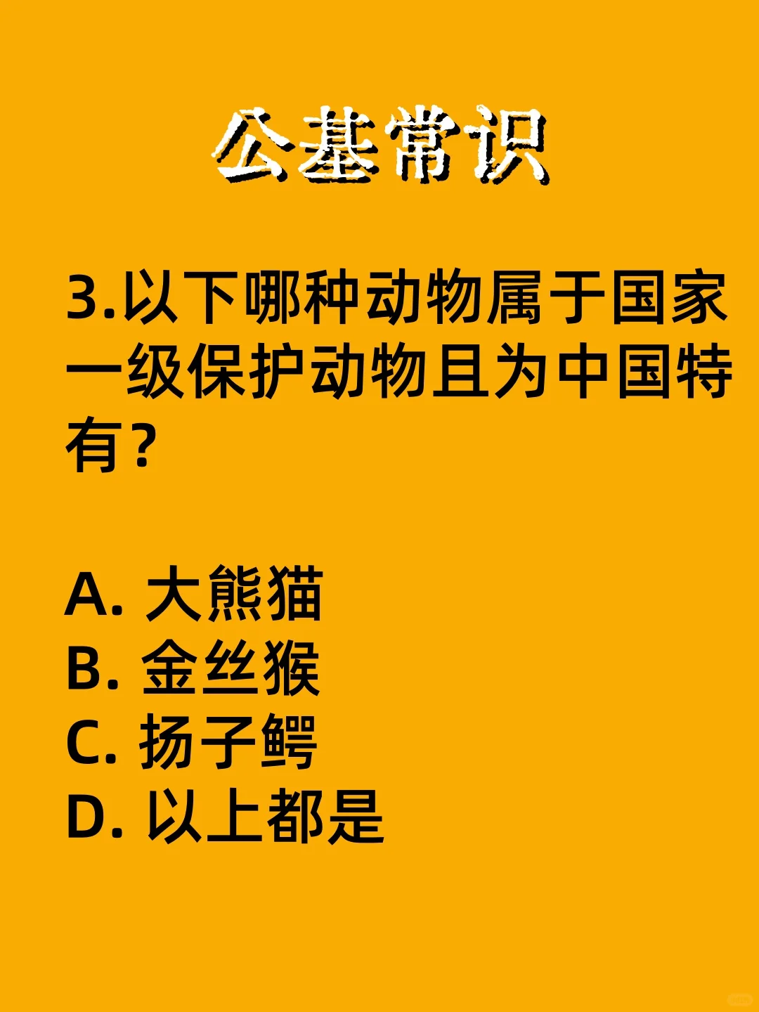 以下哪种物质不属于合金？ 公基常识