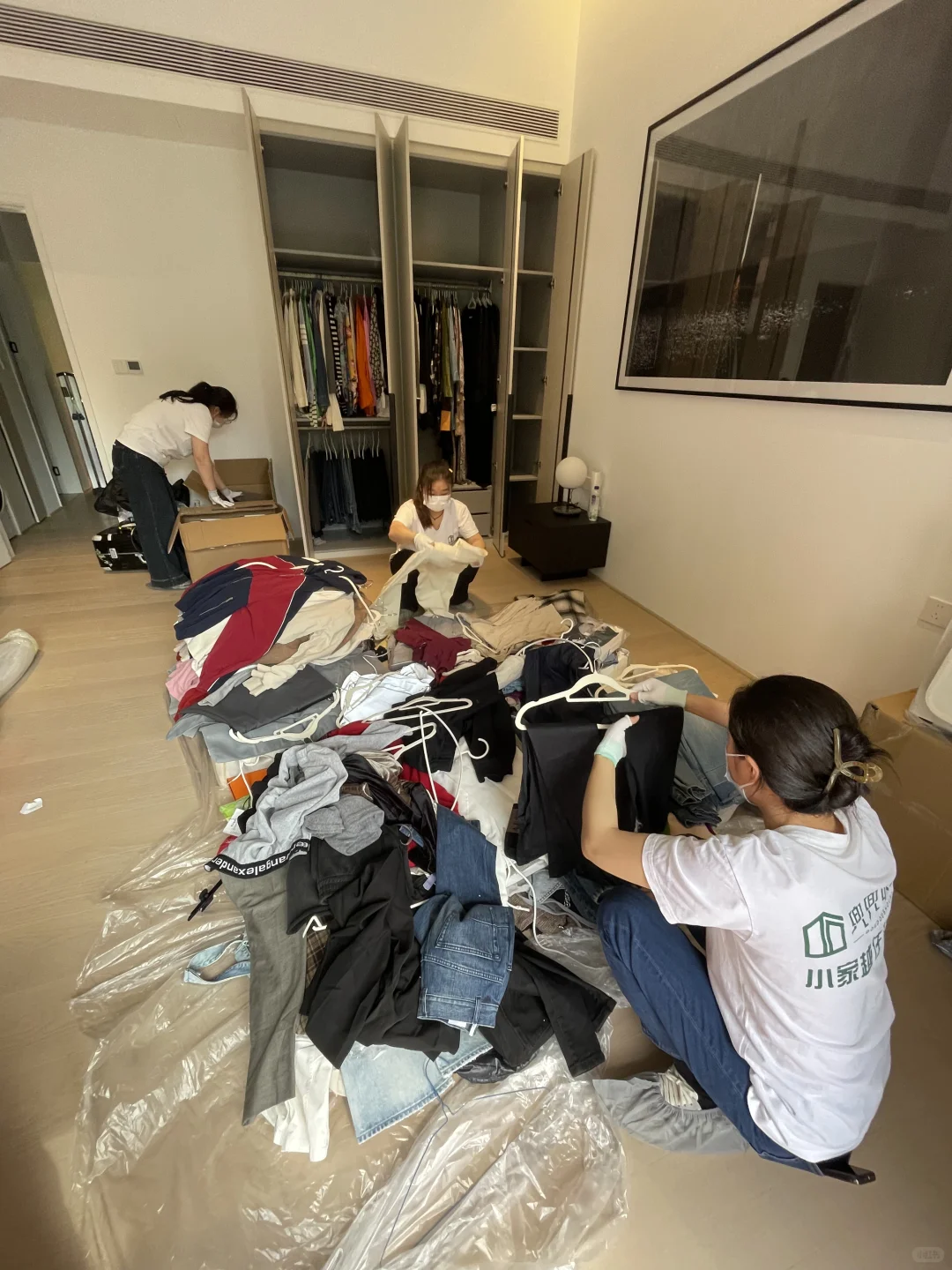 南山别墅整理进行中，小姐姐从上海穿越深圳