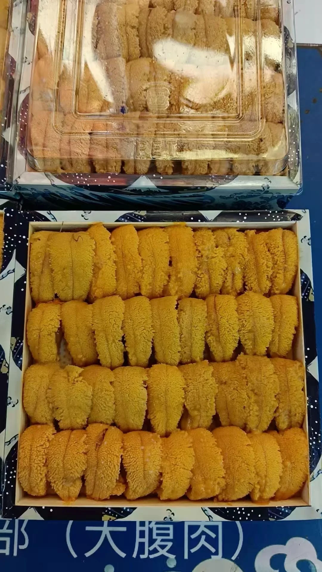 海胆脑袋冲冲冲