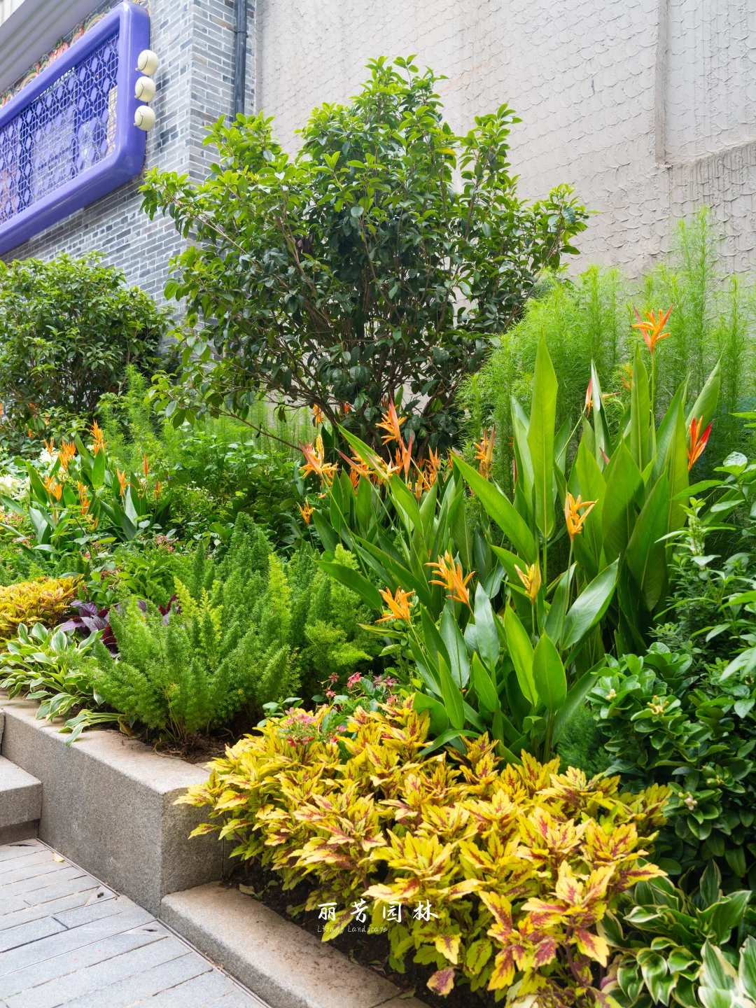 如何拥有层次丰富且易维护的长效花境景观?