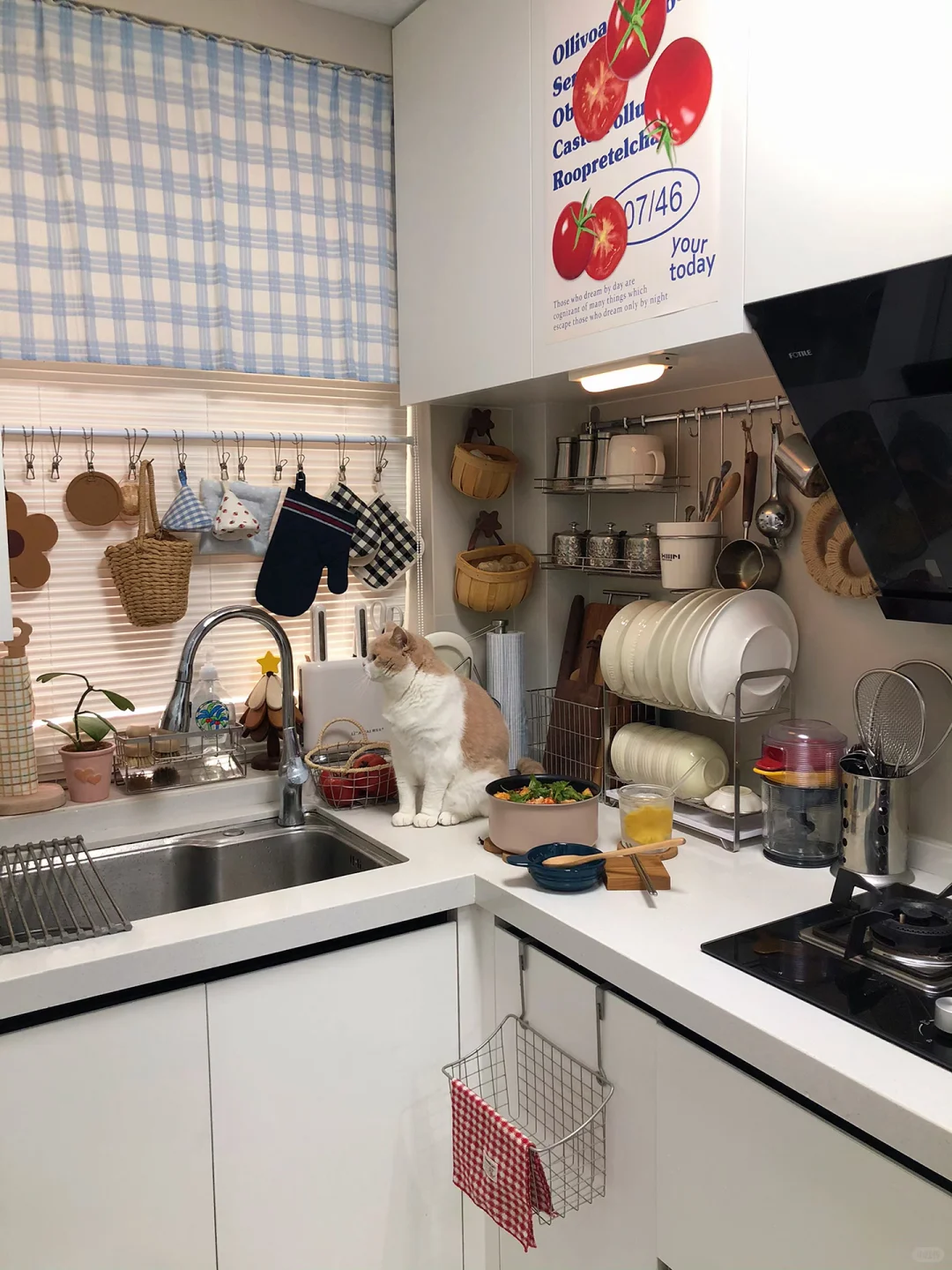 小小的厨房，过着满满当当的日子✨?