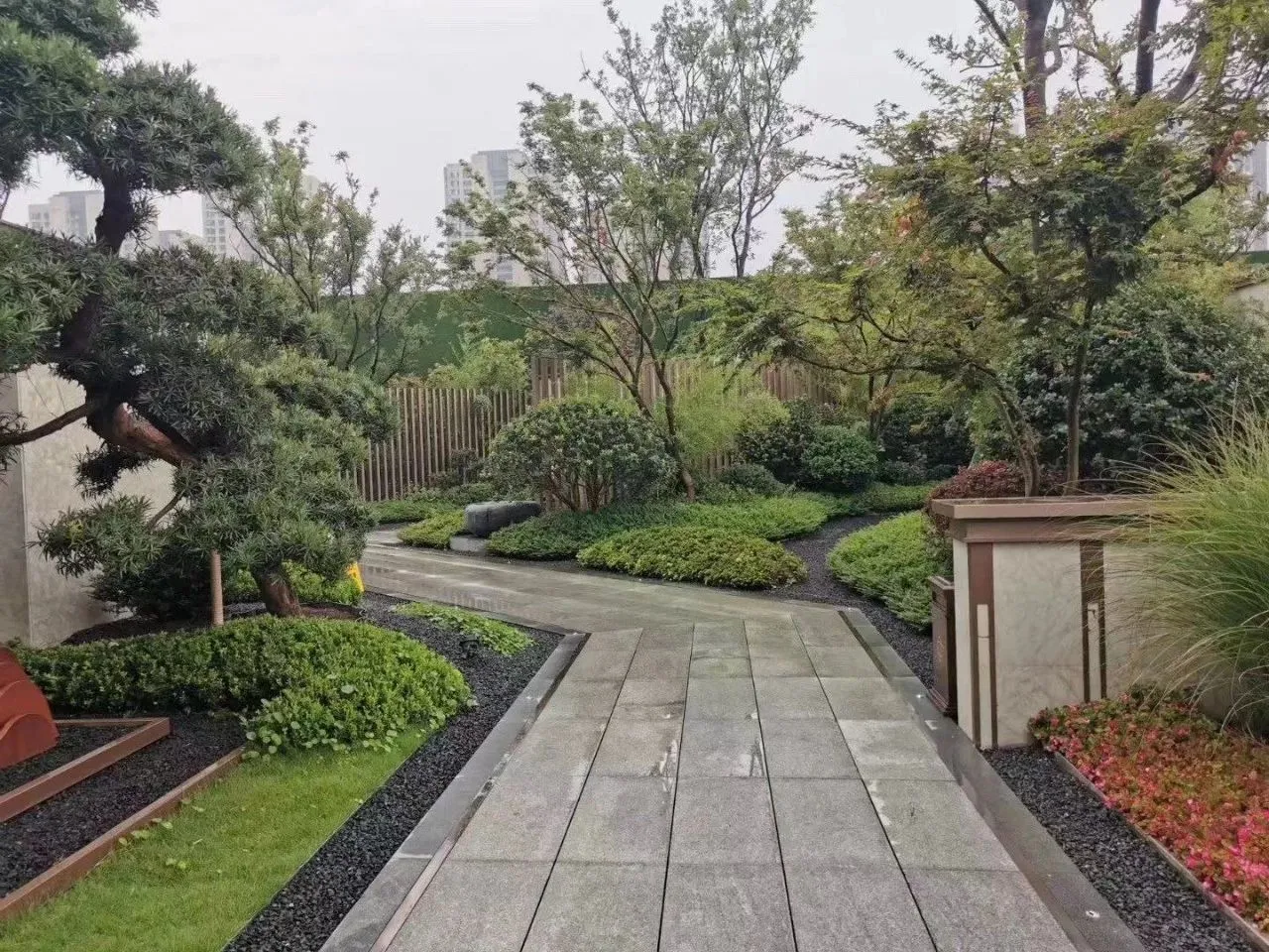 必存|号苗那些事儿