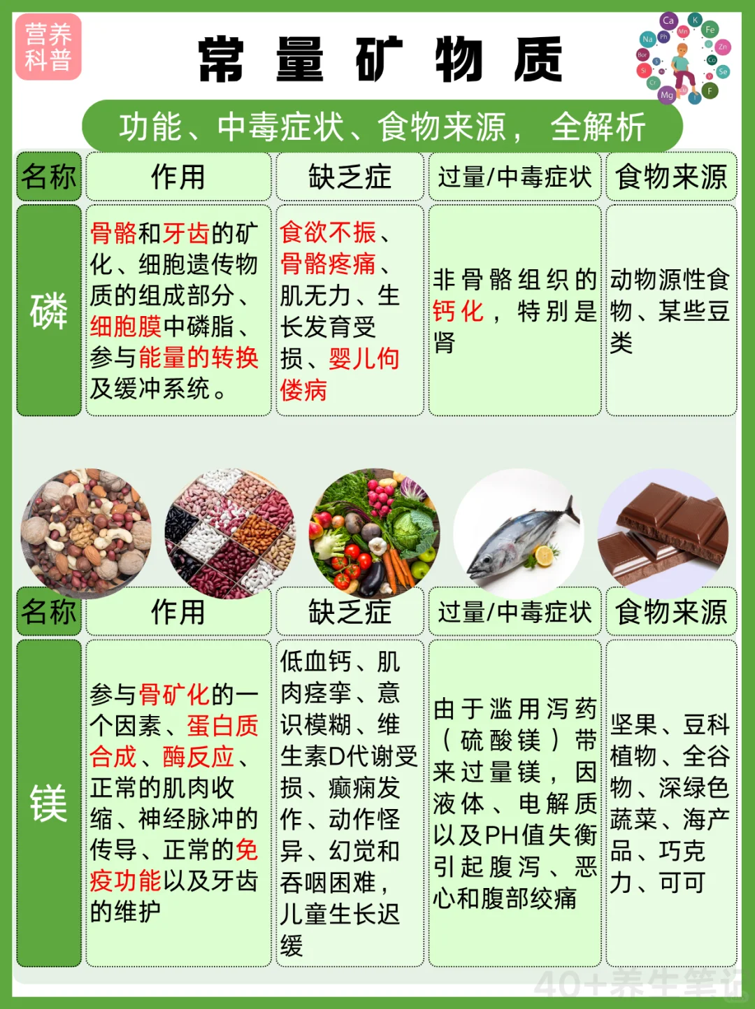 人体必需七大营养素之一，矿物质，全面解读