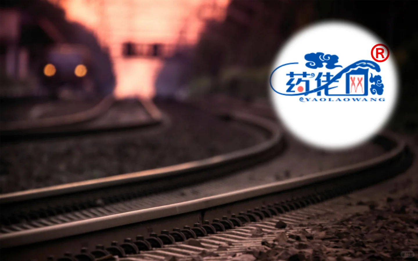 那曲冬虫夏草哪家专业