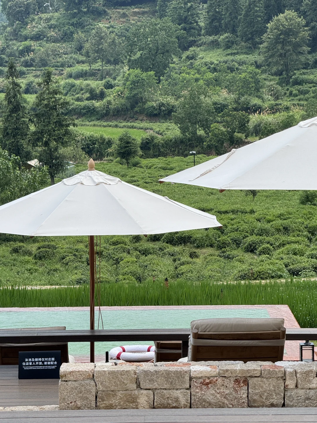 户外能量搭档✌️精准补充维B/C/E