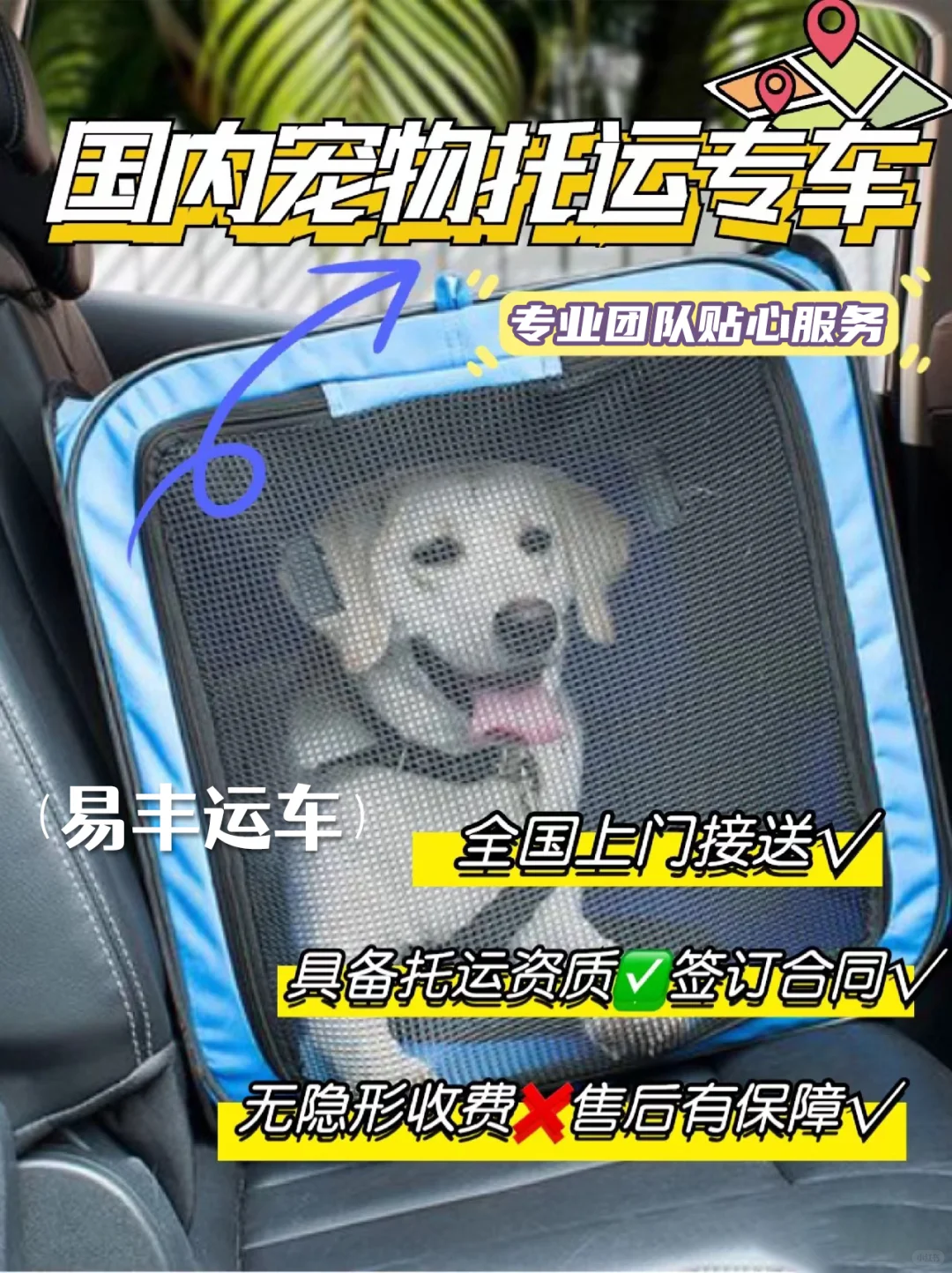 宠物托运这些错误千万别犯❌