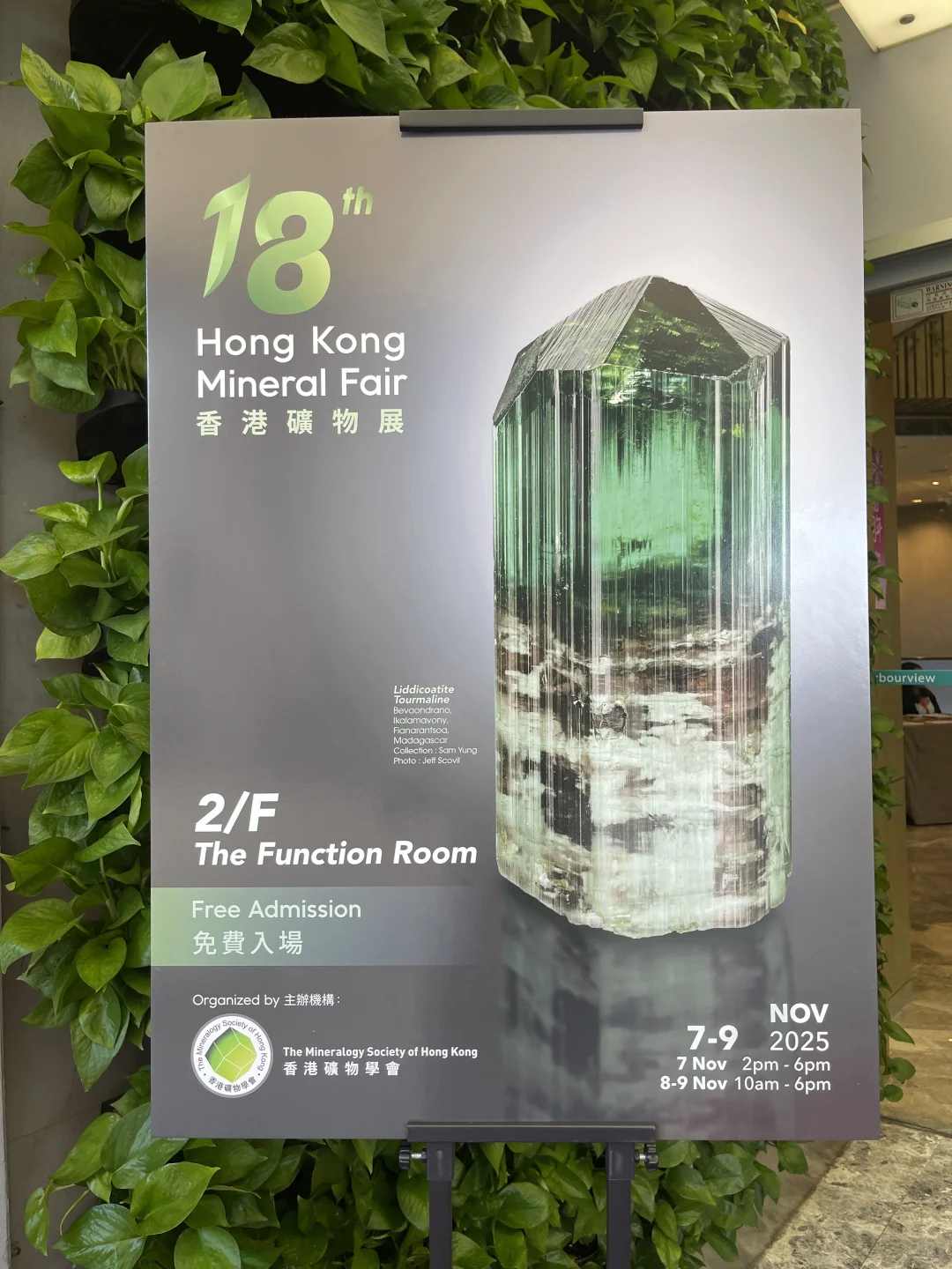 快閃香港礦物展～