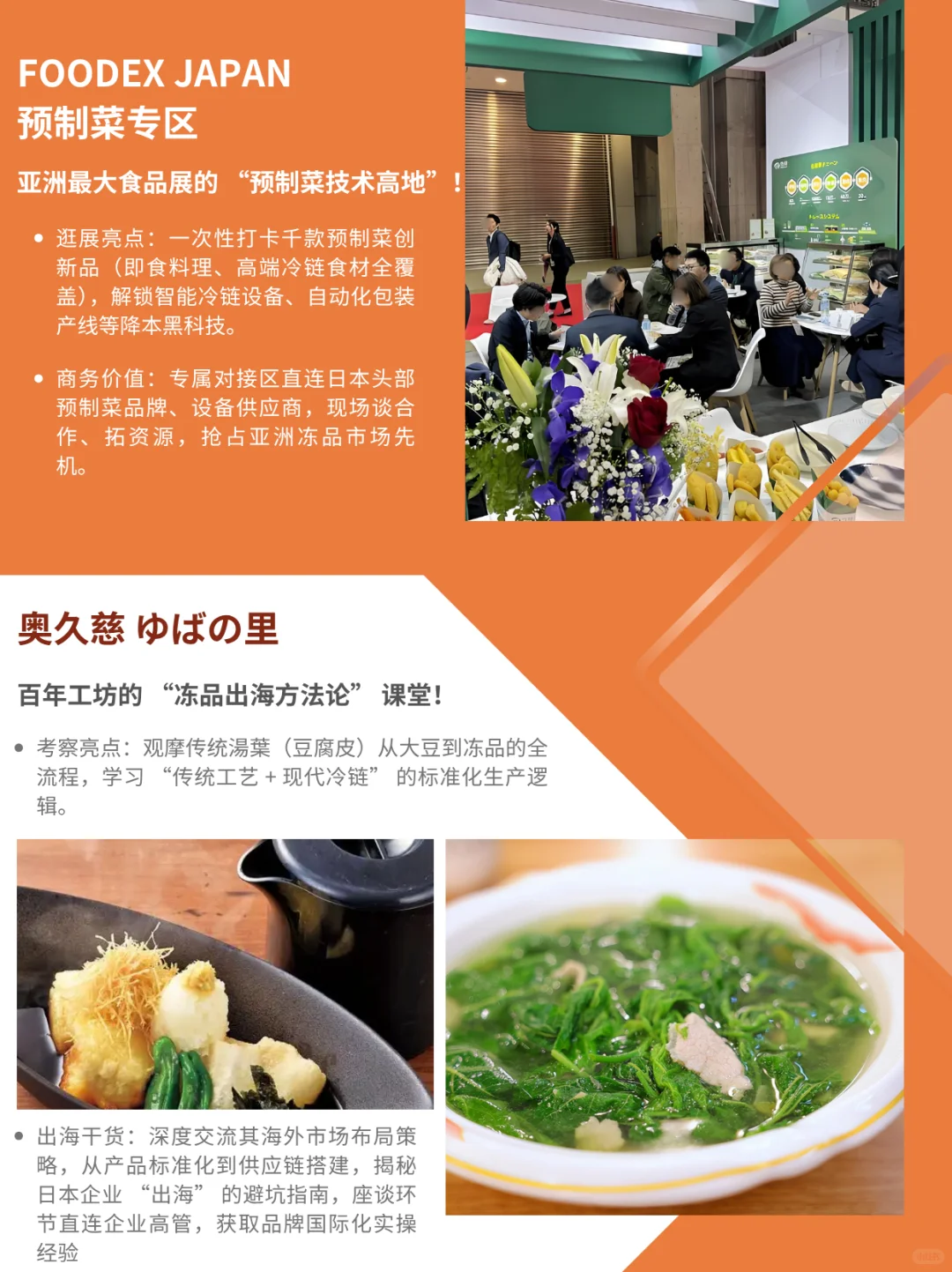 ?日本预制菜冷冻供应链｜商务考察定制