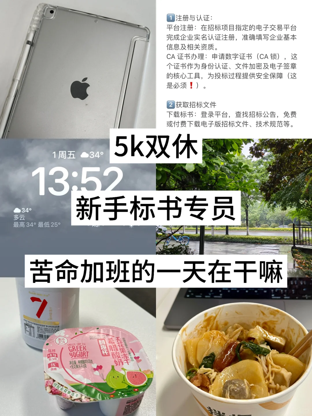 5k新手标书专员｜加班的一天在干什么