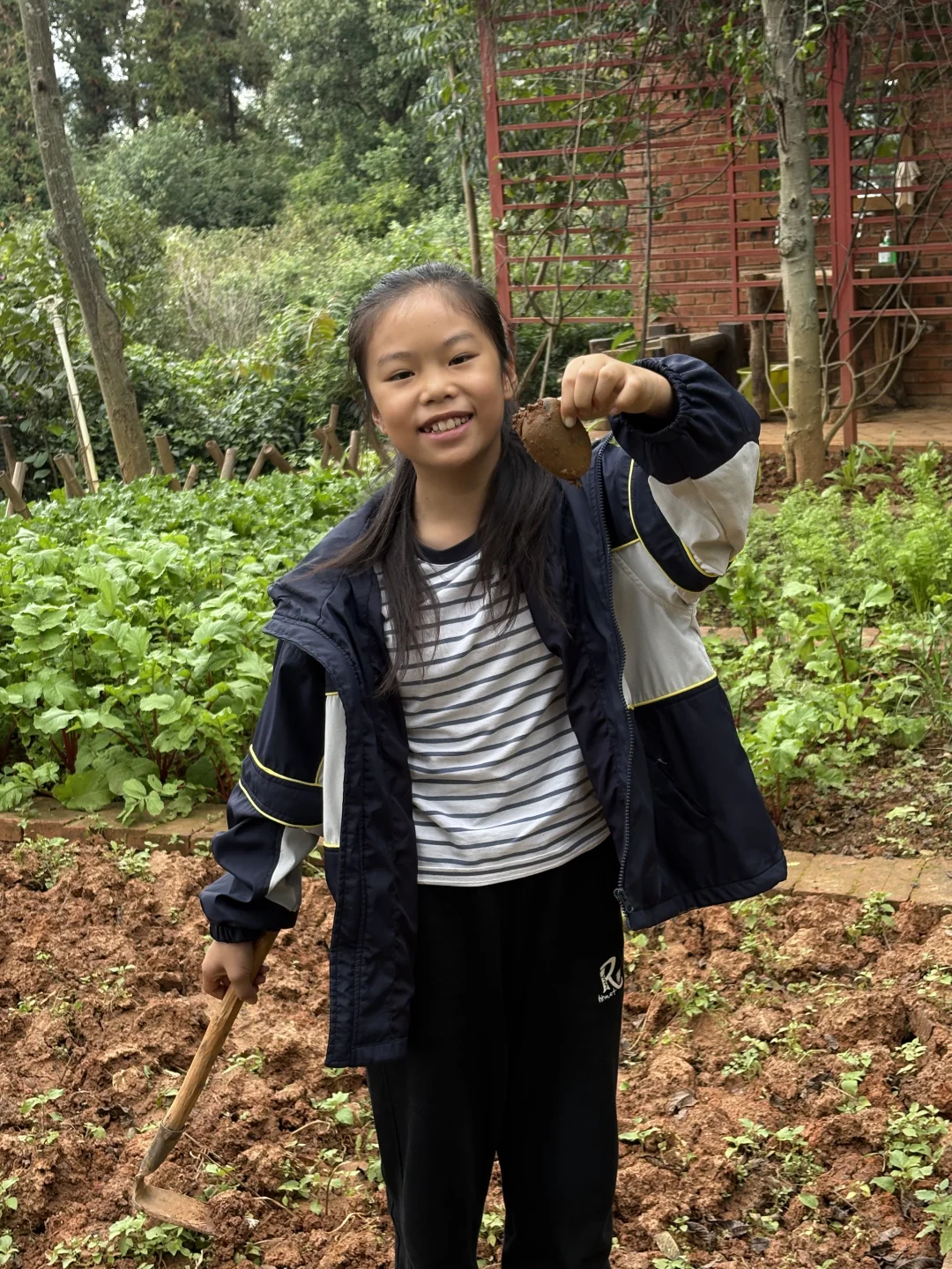 玉溪周边研学活动，石头彩绘