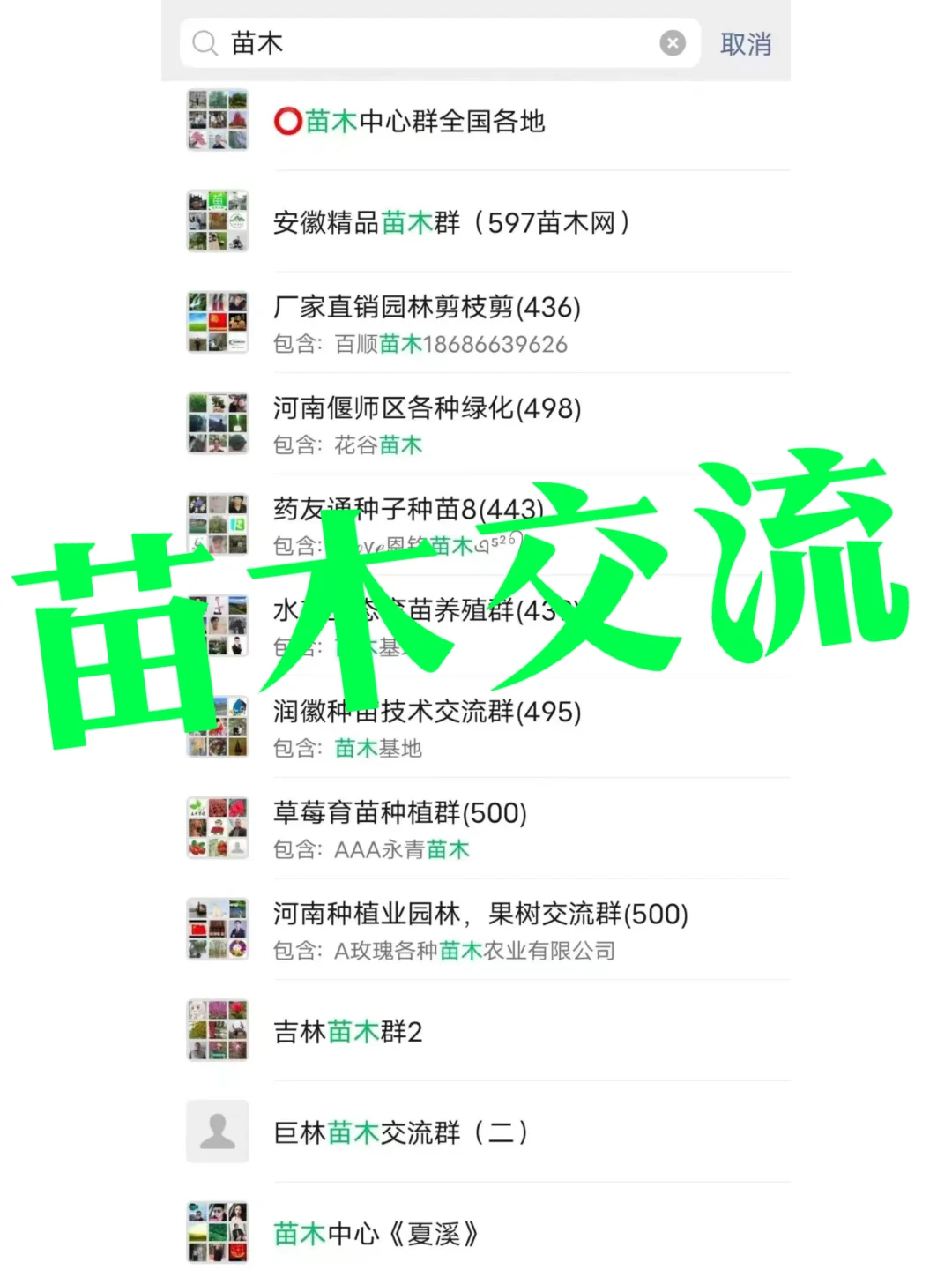 ?苗木人速来!全国工程/绿化/稀缺品种资