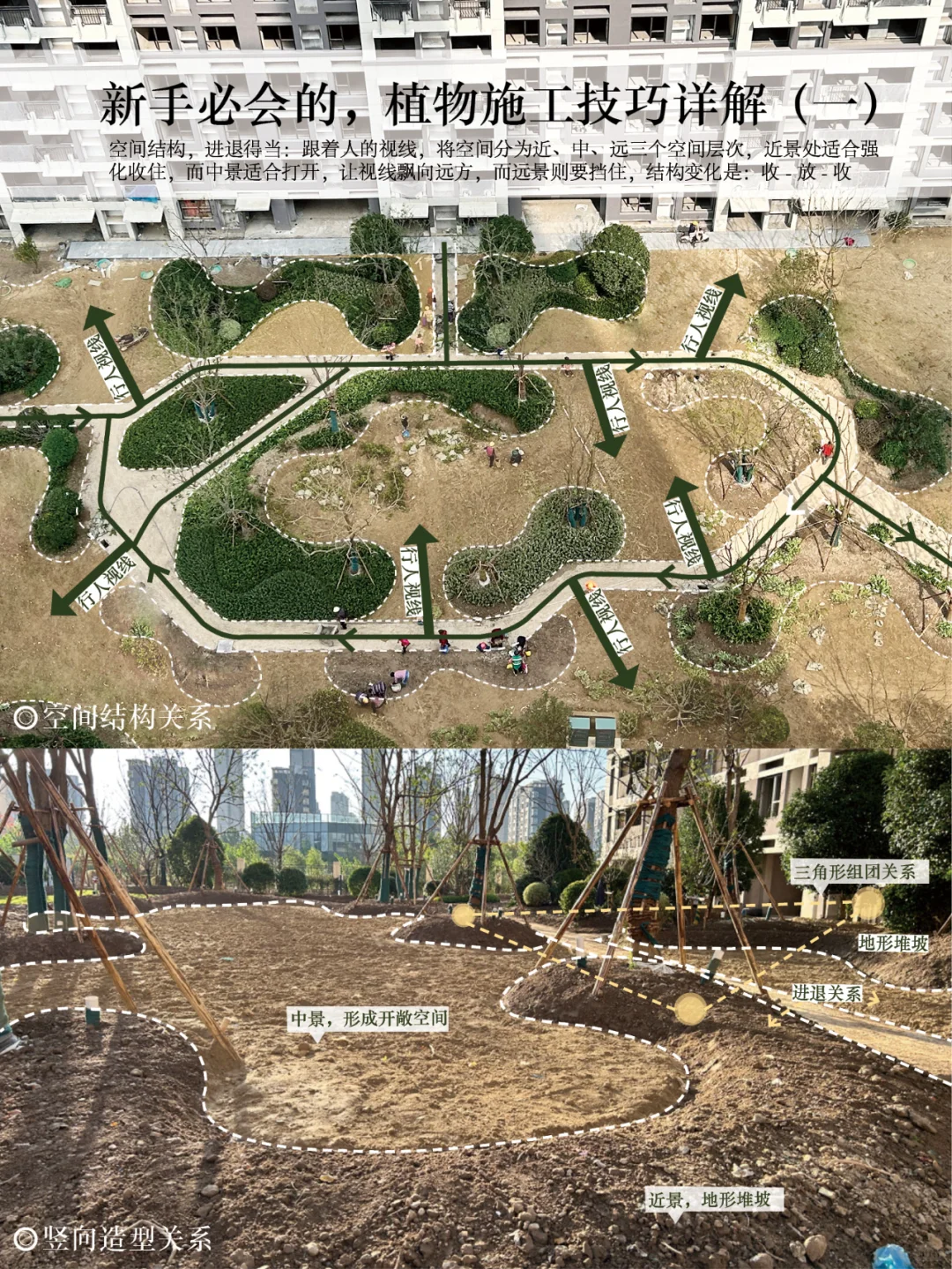 新手必会的,植物施工技巧详解(一)