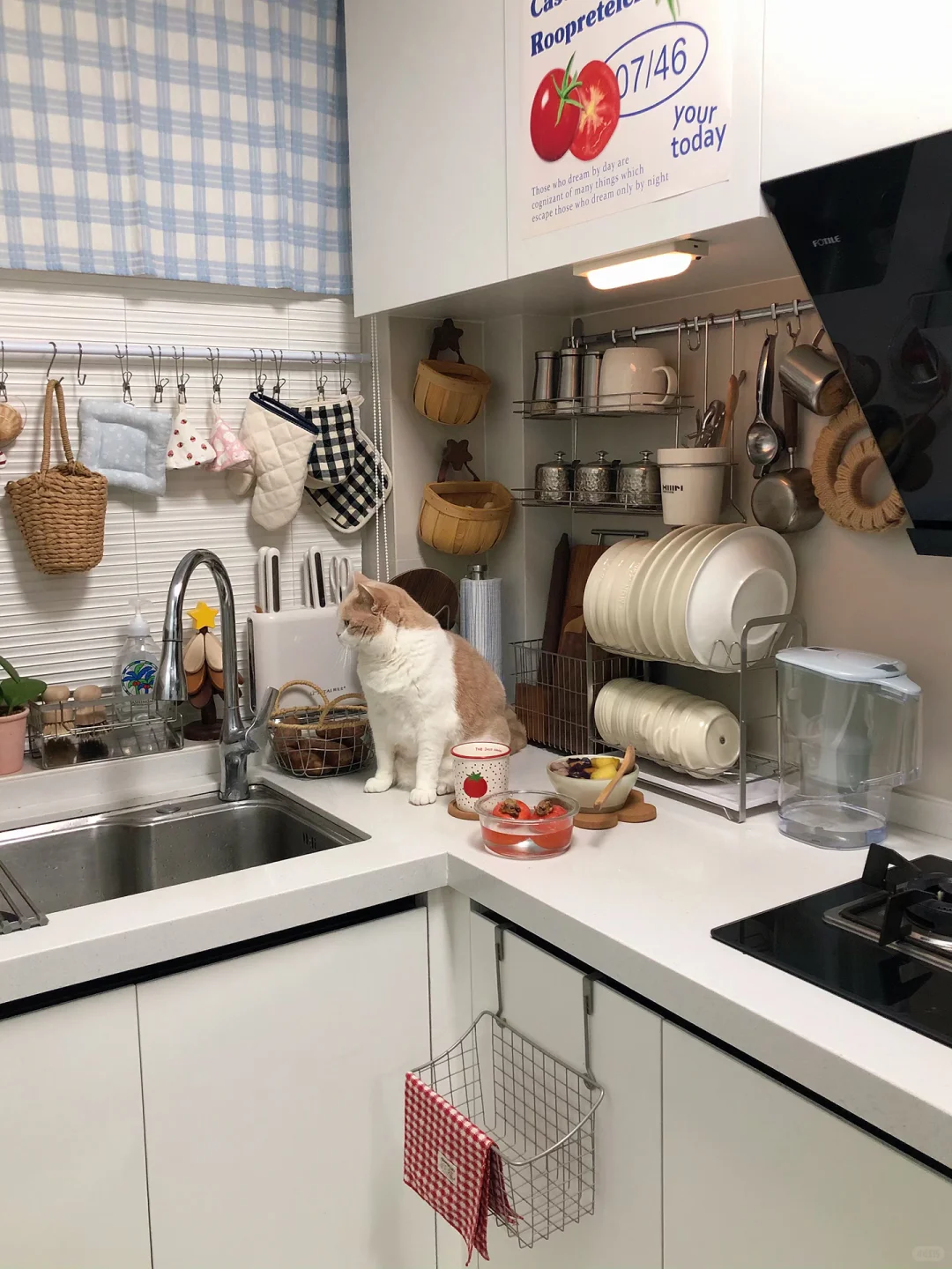 小厨房｜一些生活的幸福来源✨?