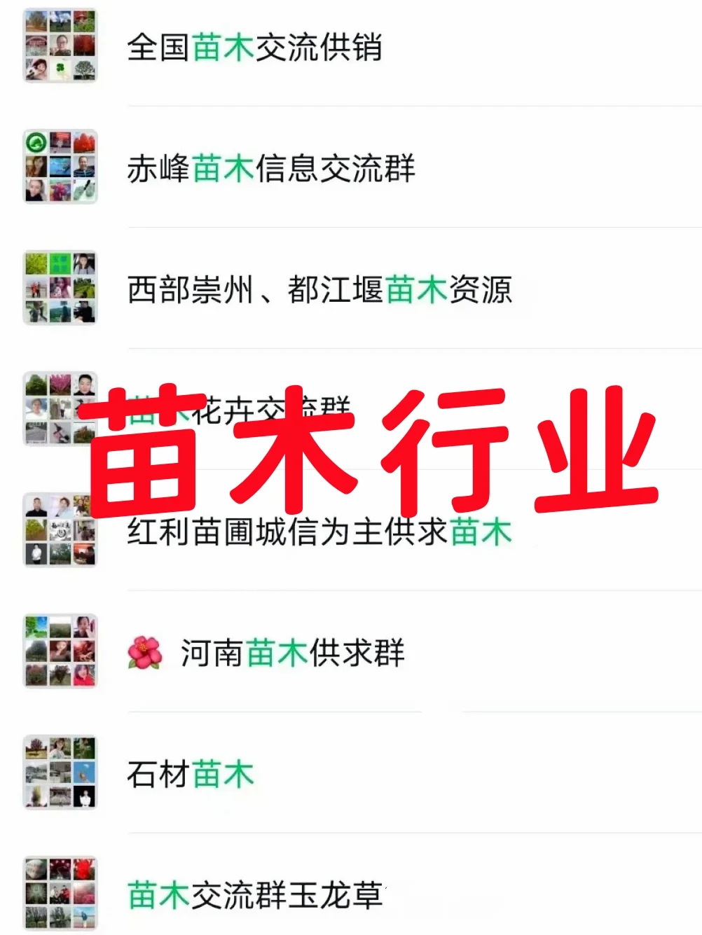 ? 苗木人速进!全国苗木供销资源群开放!