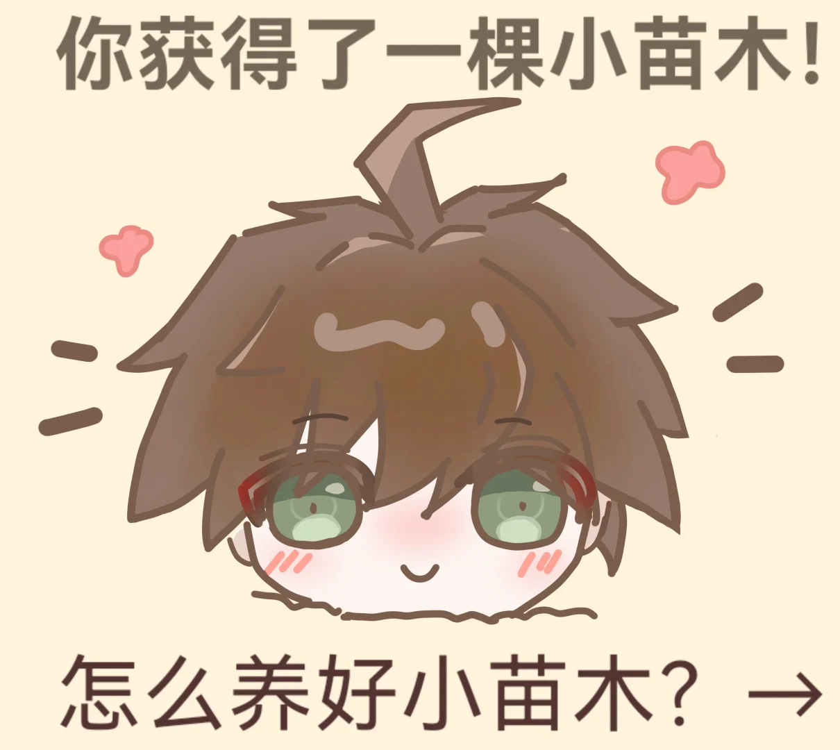 分享一些培养苗木的实用小技巧?