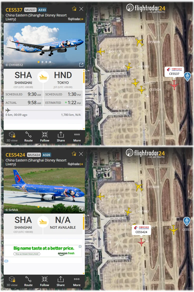 国庆回顾——东航迪士尼彩绘史诗级同框!