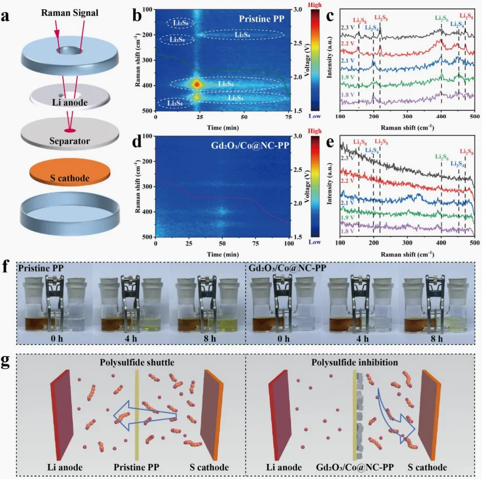 文献精读分享20