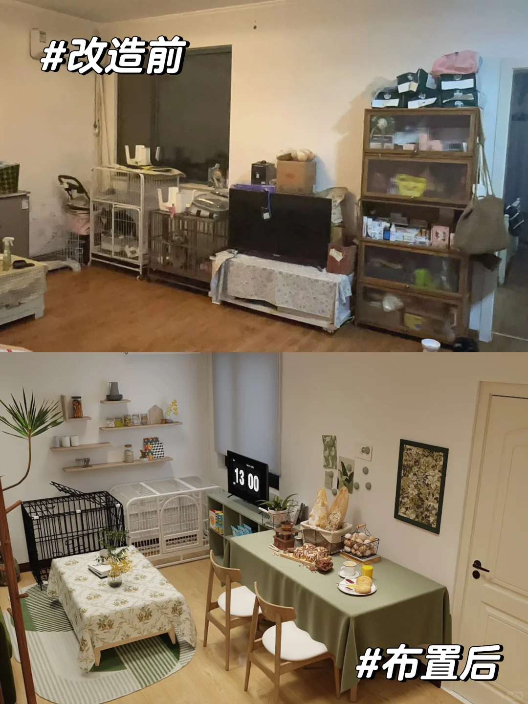 帮粉丝全屋改造小清新风❗