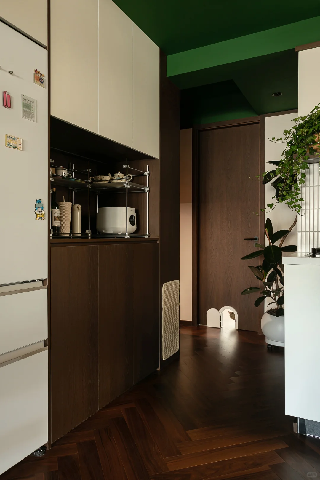 老公房逆袭!一人两猫的森系混搭共生小家