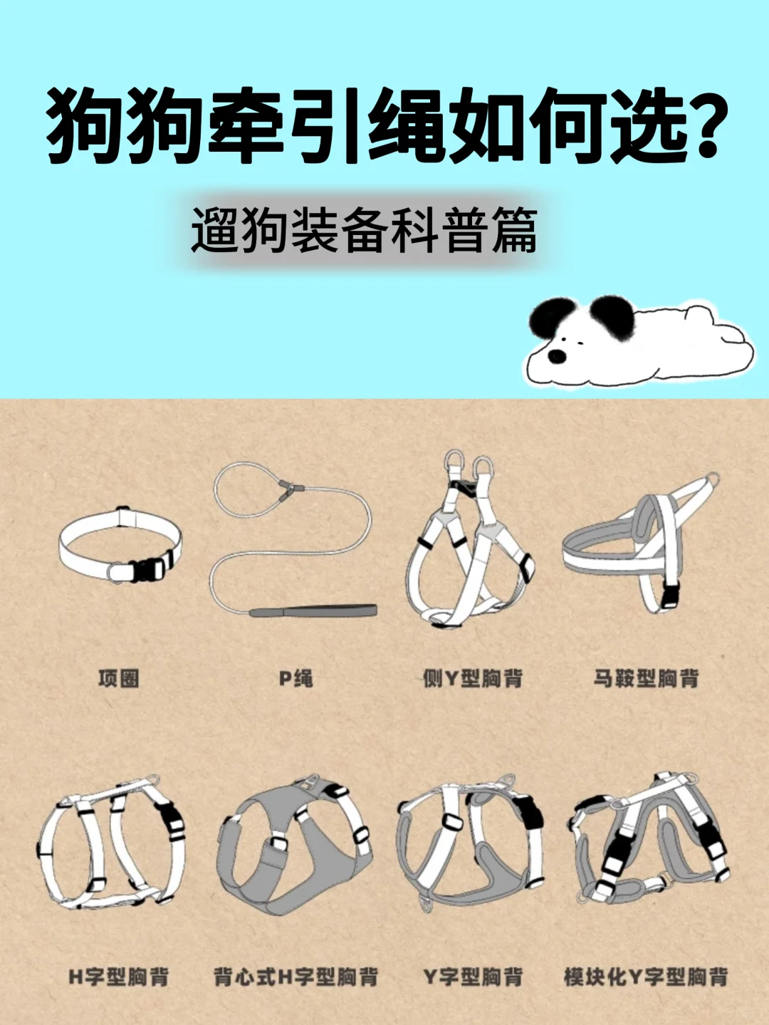 如何选择狗狗牵引工具!