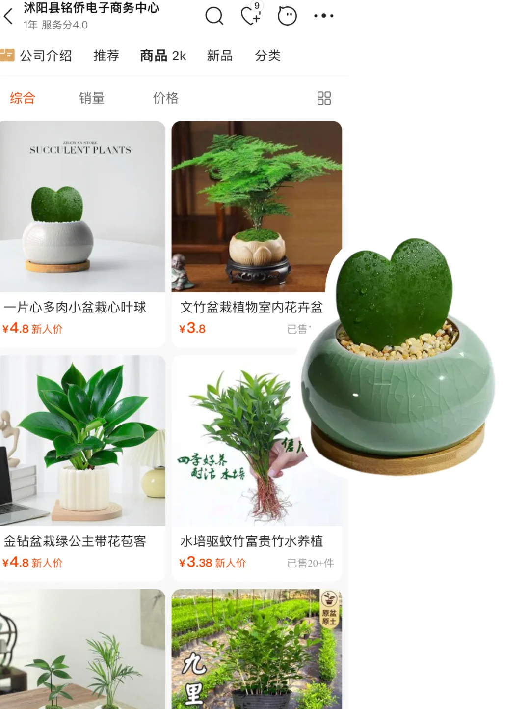 share|5⃣️家小众创意盆栽?货源店铺