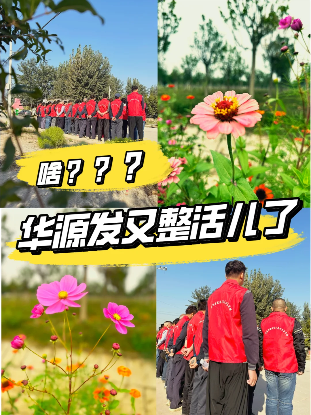 华源发又整活儿了？让我瞧瞧怎么个事儿！