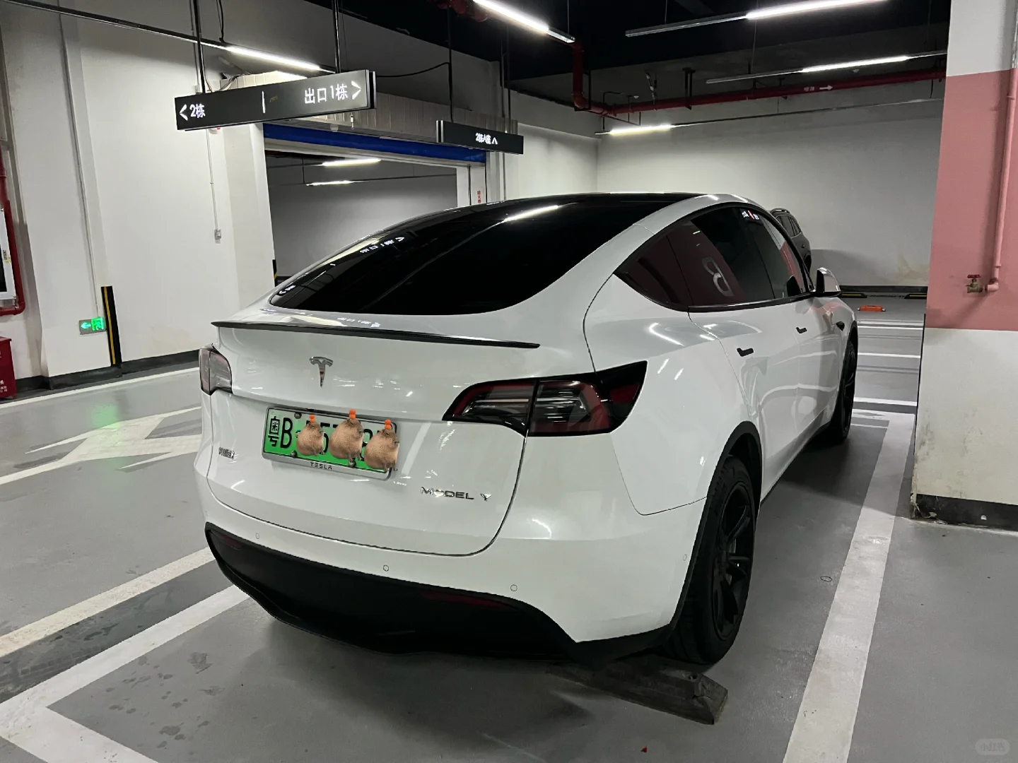 低成本改造 model y ?