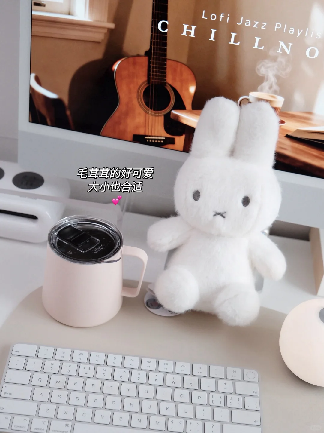 ✨家居好物｜近期购入的一些！（好看又实用