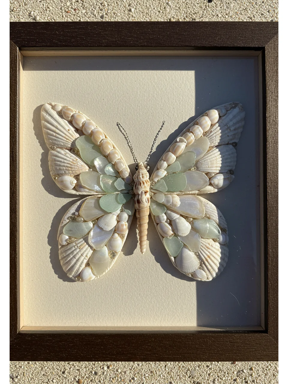 ?一秒穿越到海边!?贝壳DIY蝴蝶?