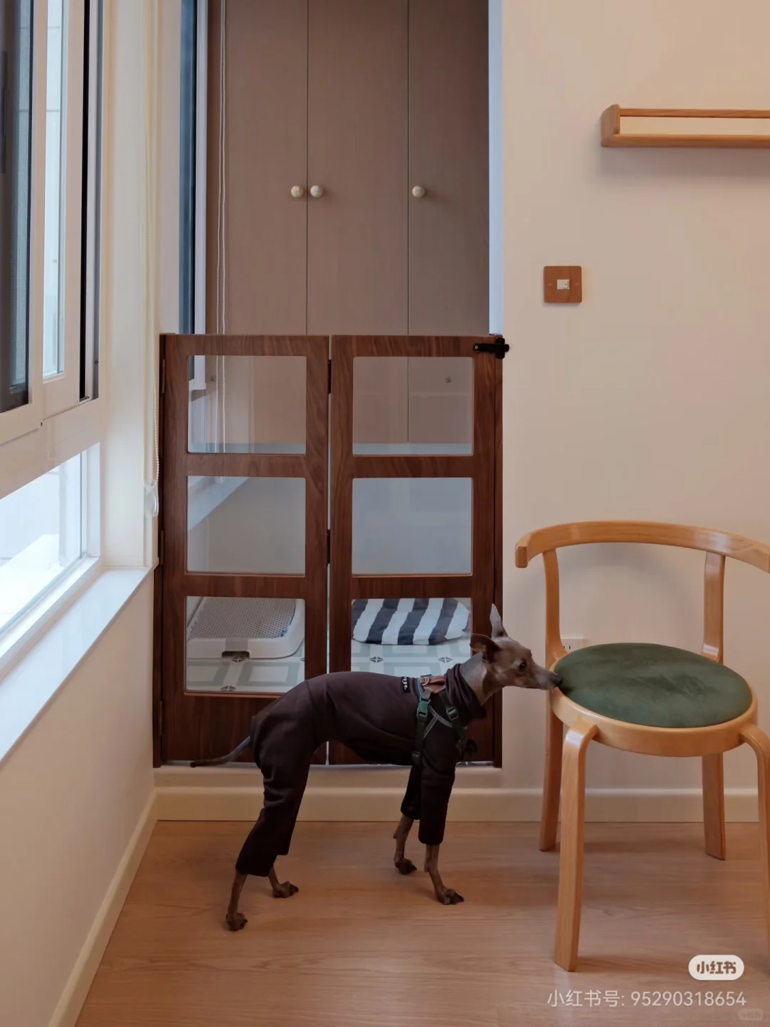 为狗狗设计的家中小角落