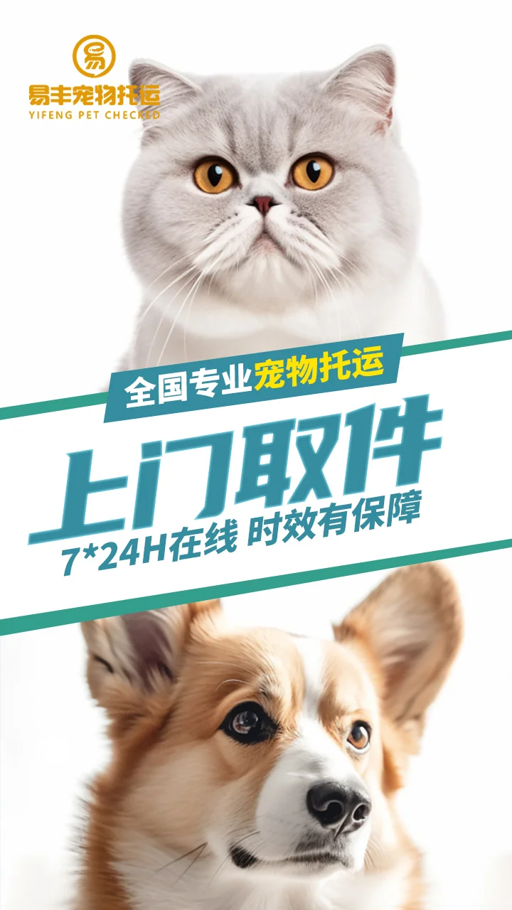宠物托运这些错误千万别犯❌