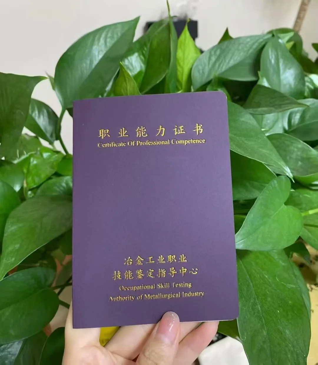 冶金工业职业技能