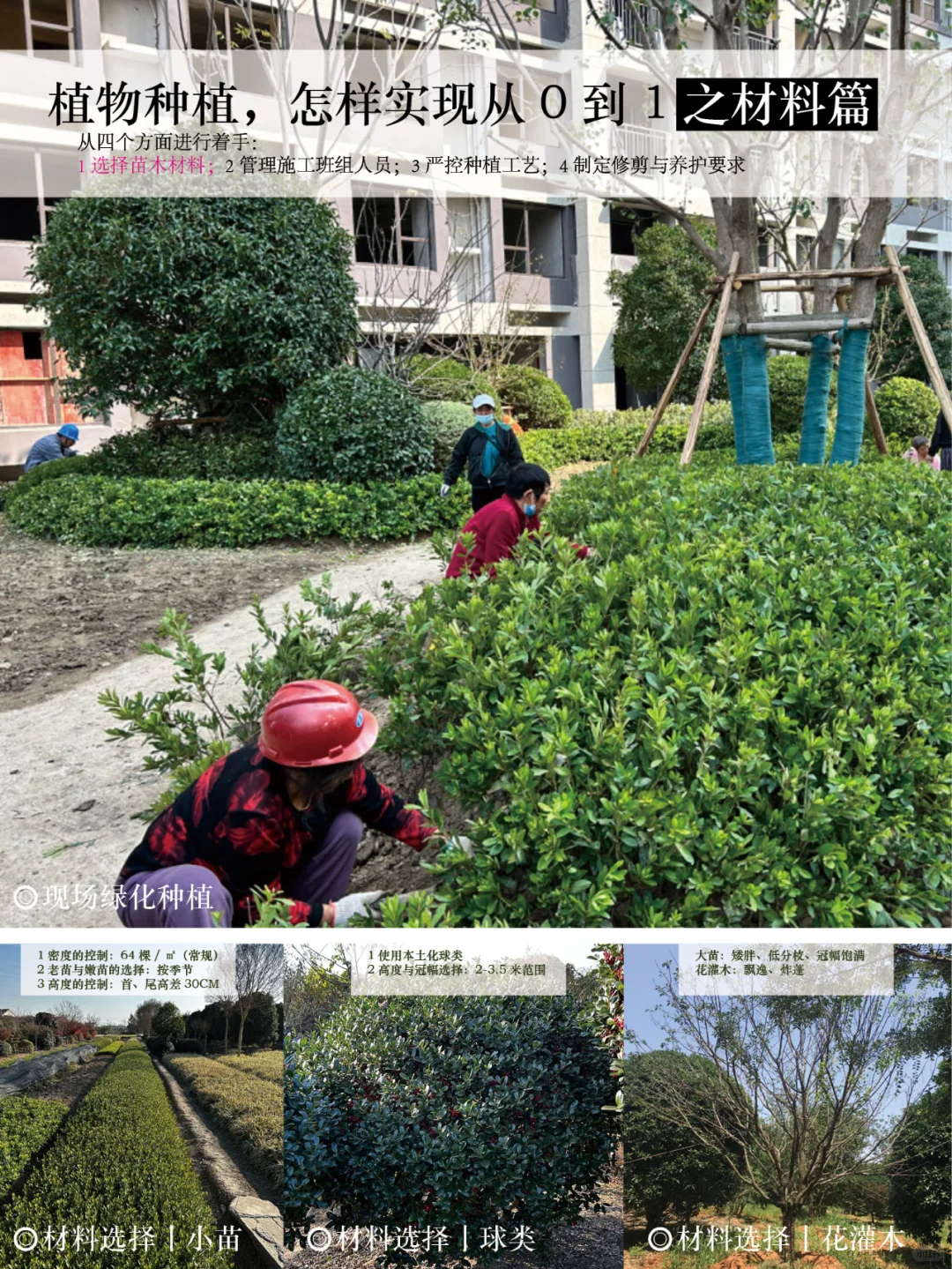 植物种植,怎样实现从0到1(材料篇)