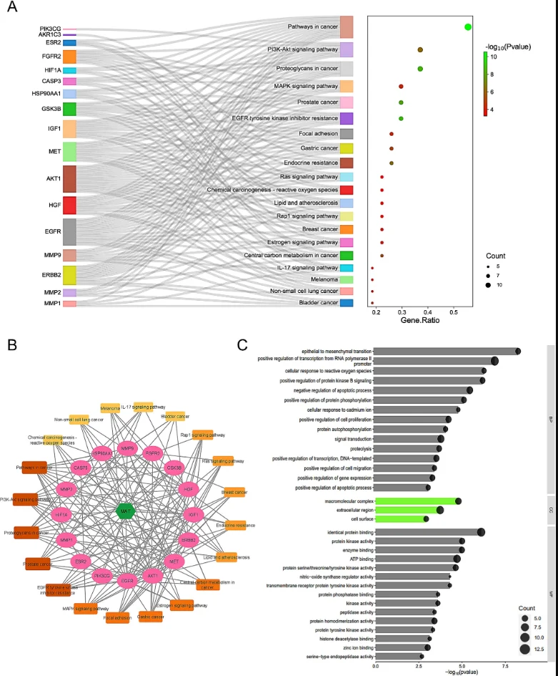 IF8.7网络药理学+生物信息学