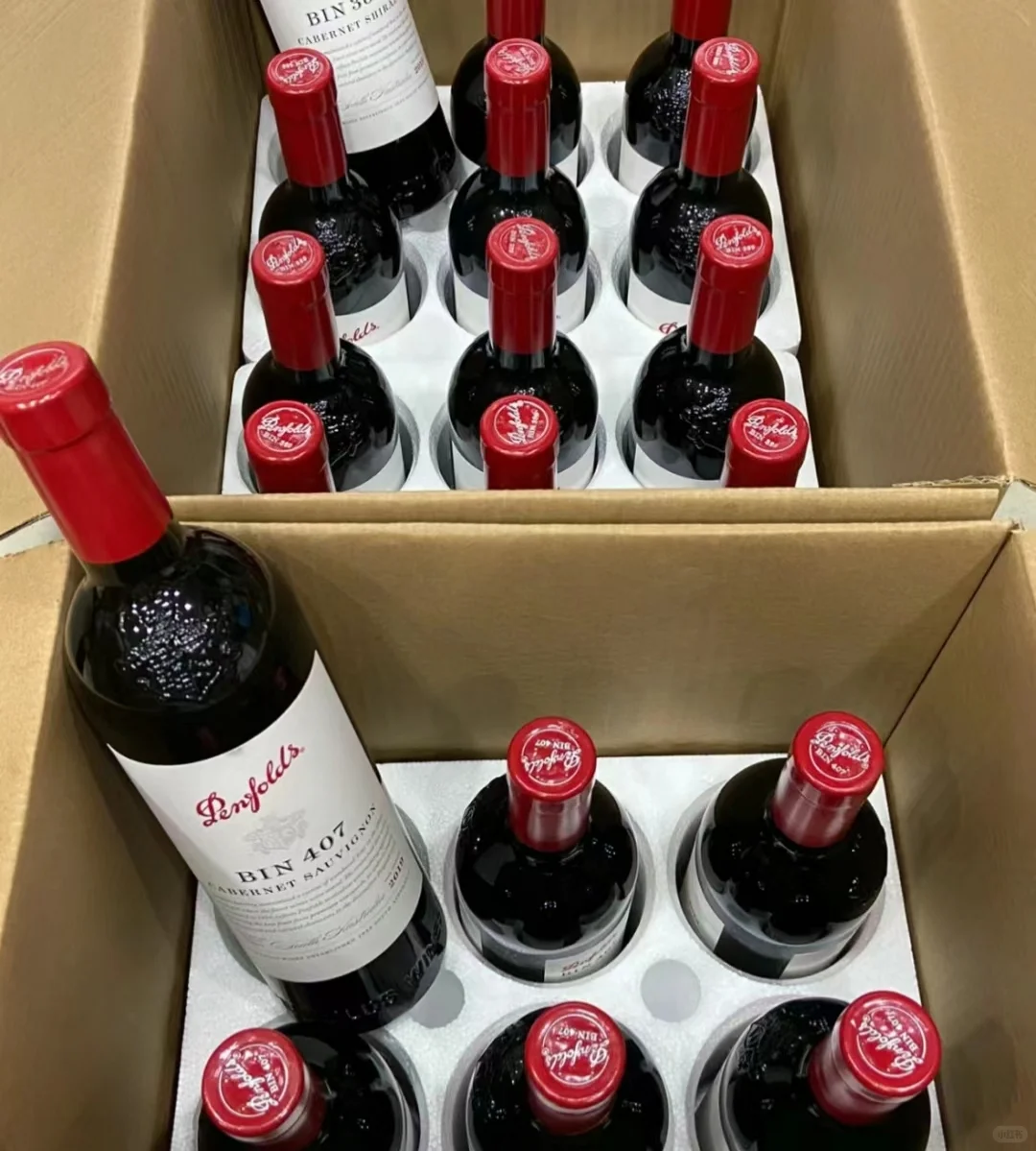 东南亚专线物流