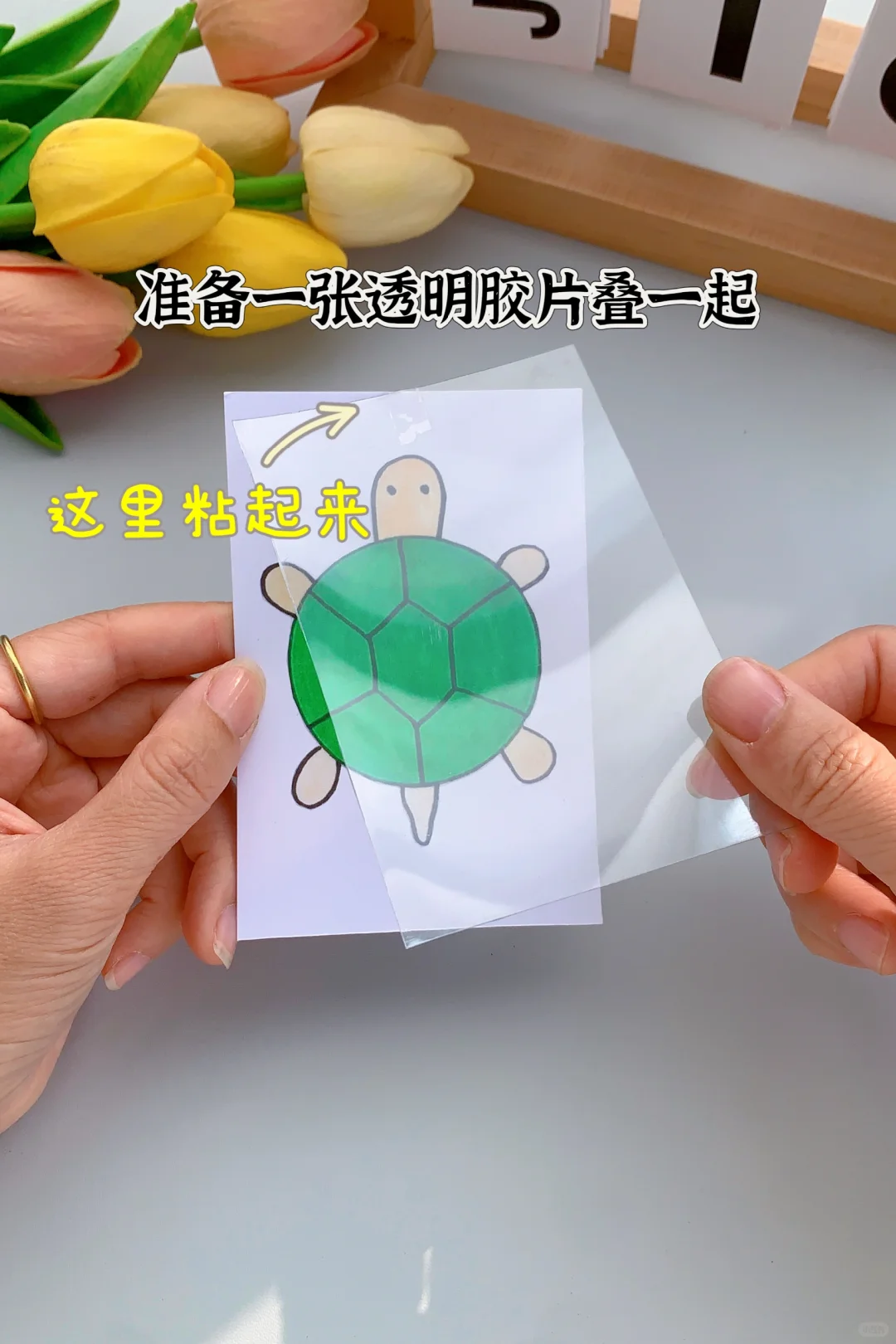 会变色的小乌龟，你会做了吗？#亲子手工#幼