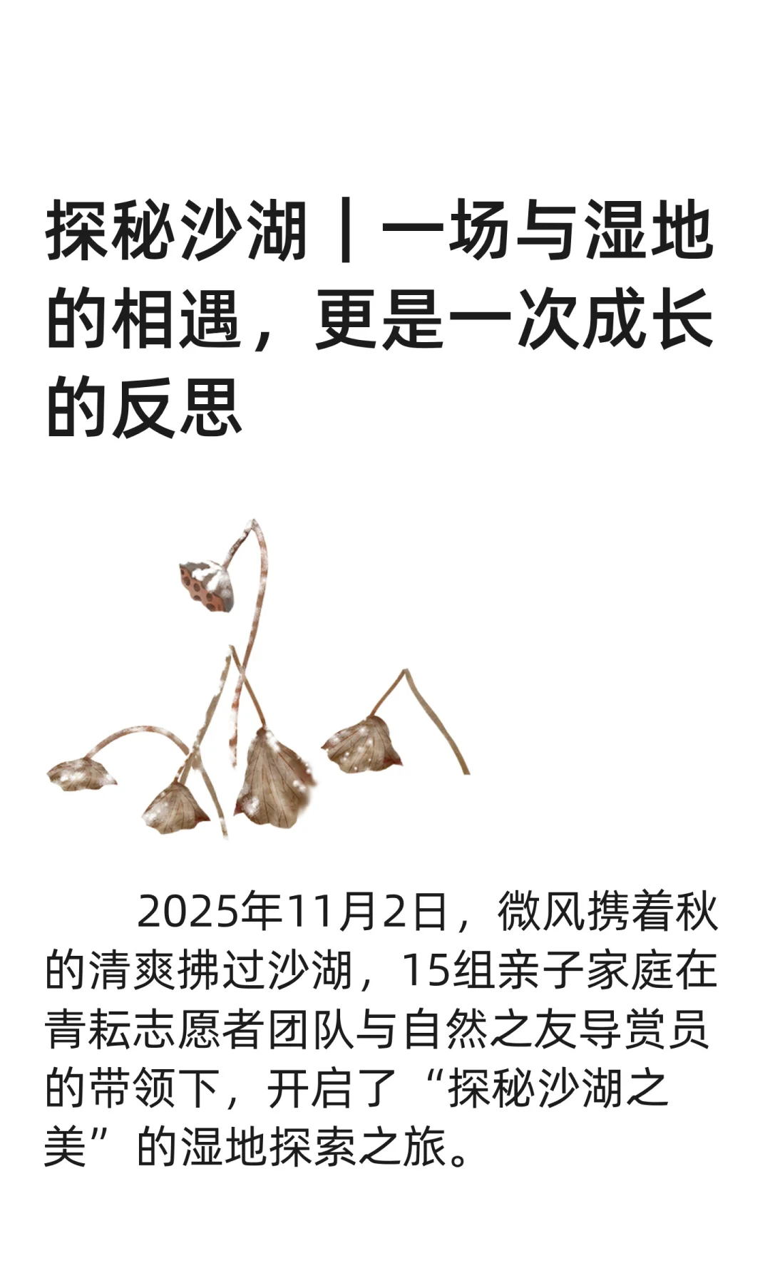 一场与沙湖湿地的相遇，更是一次成长的反思